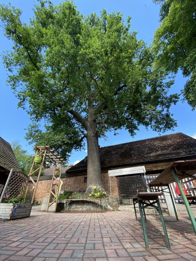 Pension Unter Der 250 Jaehrigen Eiche - Lehde Zentrum Kaupen Eksteriør billede